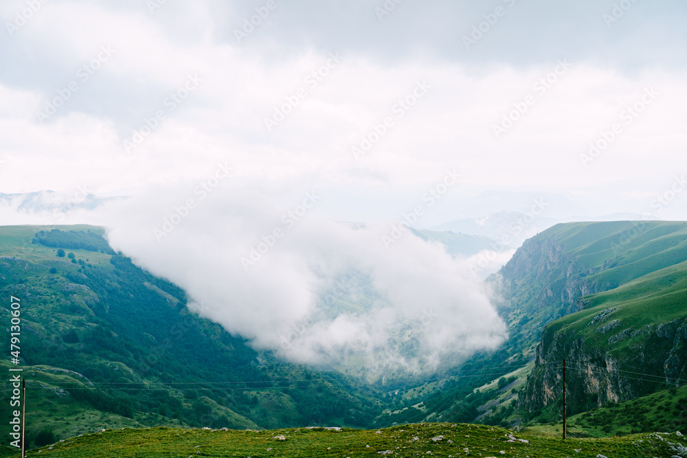 Thick fog in the mountains in Durmitor National Park