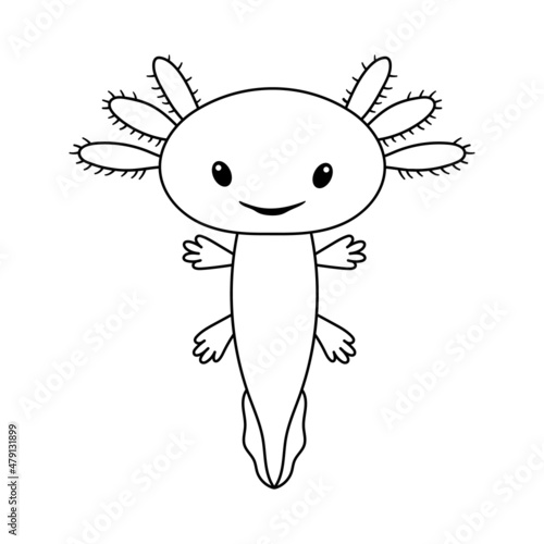 Vector illustration of cute stylized axolotl salamander isolated on white background. Baby axolotl smile. Drawing in outline style for coloring book