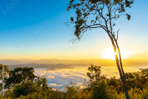 Sunrise behind tree with sea of fog and clouds with mountain hill at Sri Nan National Park Doi Samer Dao Nan Province Thailand, Asia.