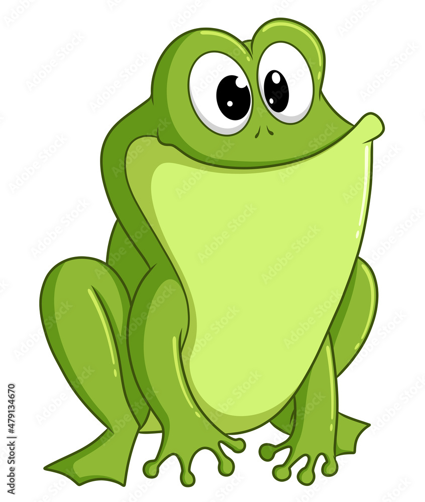 Fototapeta premium The big frog is smiling and posing nicely while waiting a prey