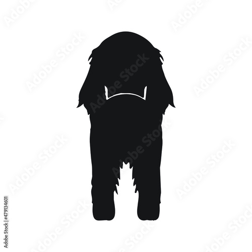irish setter pet dog species silhouette