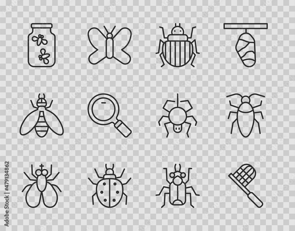 Set line Insect fly, Butterfly net, Colorado beetle, Mite, Fireflies bugs in jar, Magnifying glass, Beetle and Cockroach icon. Vector