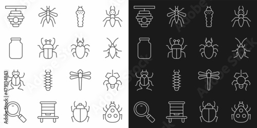 Set line Ladybug, Spider, Cockroach, Larva insect, Stink, Glass jar, Hive for bees and Beetle deer icon. Vector