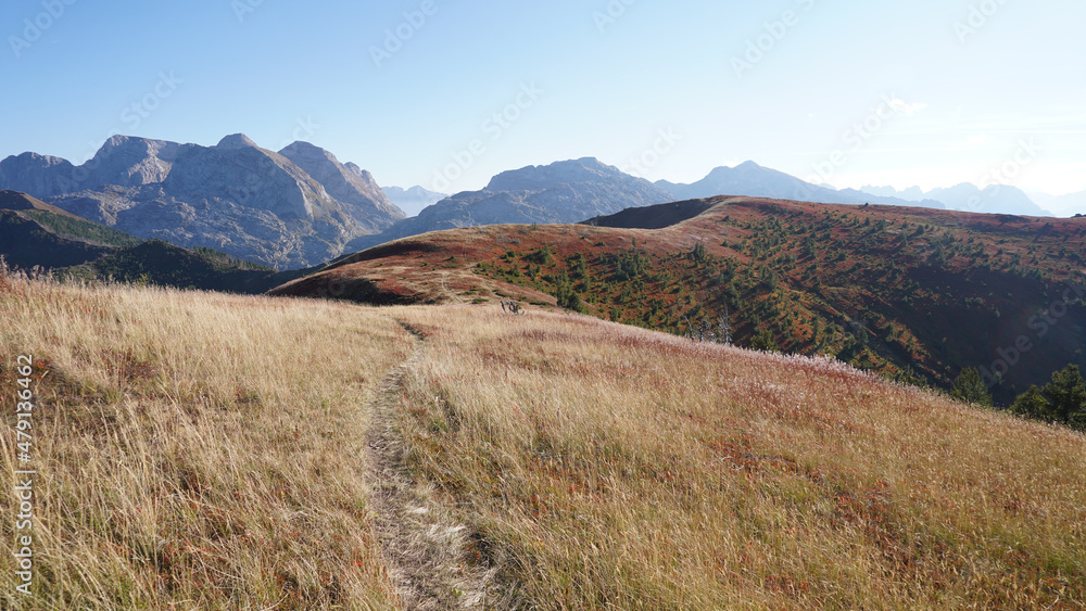 Fototapeta premium Warm summer day in the Prokletije national park within the Dinaric Alps Mountain Range on the Peaks of the Balkans Trail near Plav, Montenegro.