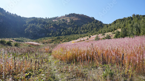 Warm summer day in the Prokletije national park within the Dinaric Alps Mountain Range on the Peaks of the Balkans Trail near Plav, Montenegro.