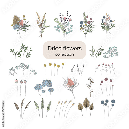 A set for creating bouquets of dried flowers. Editable string.