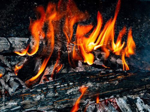 Orange flames of fire of a wood fire. The heat of a wood fire. Tourist place in nature in the forest. Cooking on the grill. Background image. Free space for text.