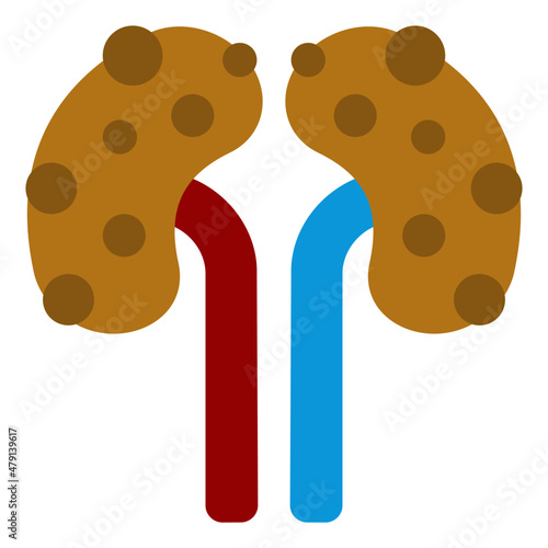 kidney flat icon