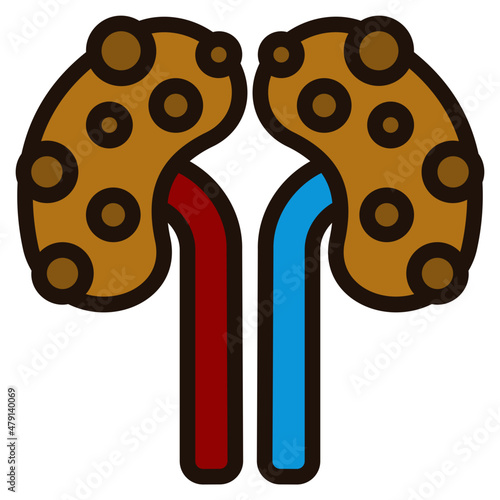 kidney filled outline icon