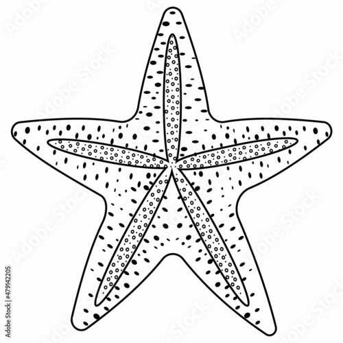Isolated starfish. Black contour line in the style of doodles
