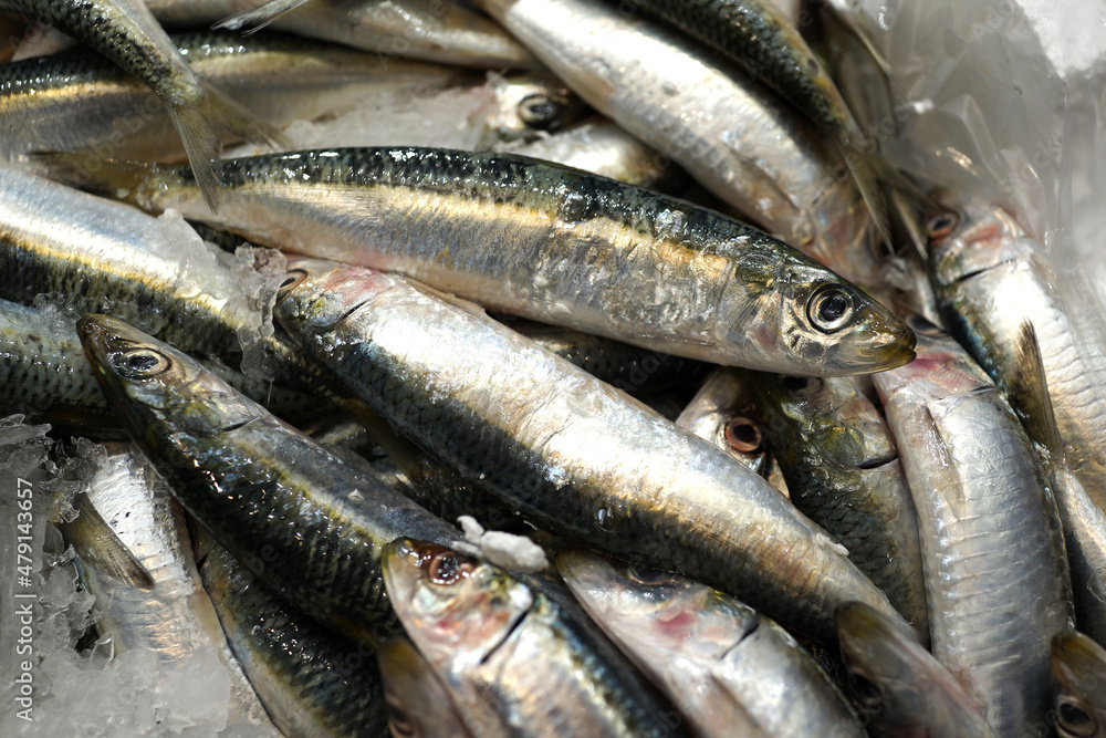Close up heap of fresh raw Sardines at market stall. Close up heap of fresh raw Sardines at market stall.