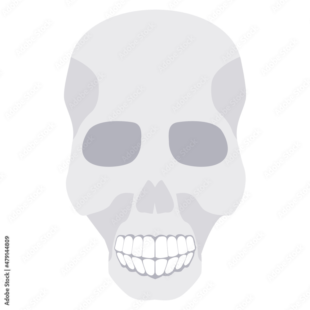 Fototapeta premium Skull