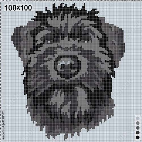 pattern for cross stitch or knitting - portrait of black schnauzer puppy 
