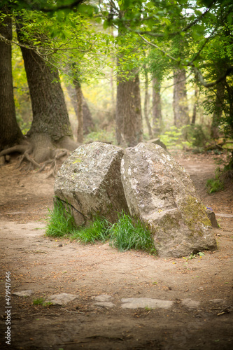 Billede på lærred Le tombeau de Merlin en forêt de Brocéliande en Bretagne