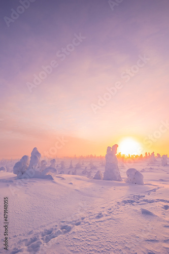 Magical winter landscape. Snow cowered trees. Winter in Finland