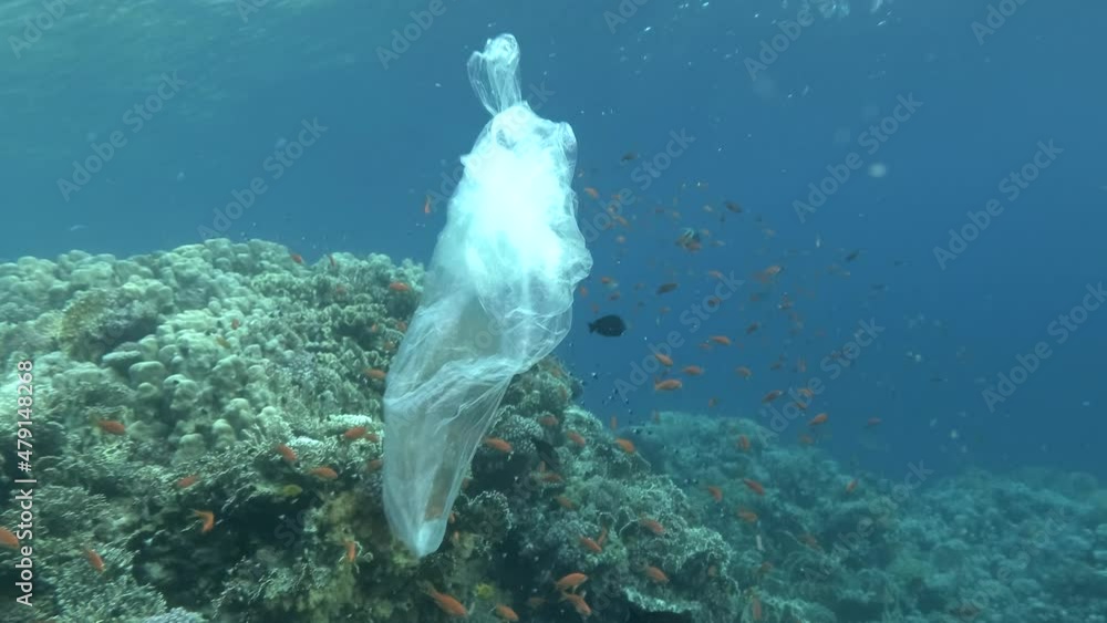 Plastic pollution Plastic bags floats under surface of the water near