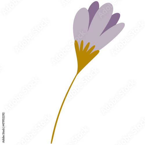 Flower vector  flower illustration  floral vector  botanical vector