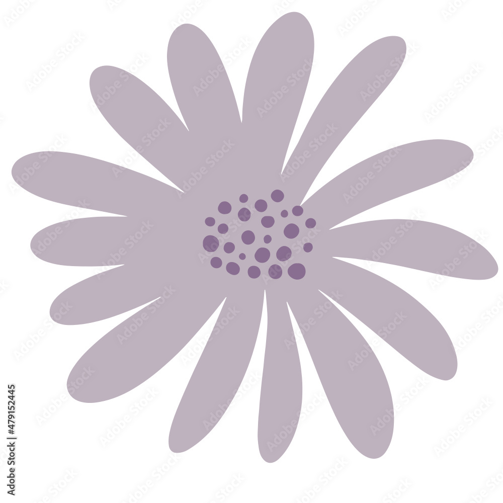 Flower vector, flower illustration, floral vector, botanical vector Flower vector, flower illustration, floral vector, botanical vector