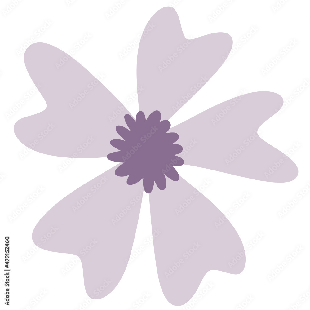 Flower vector, flower illustration, floral vector, botanical vector Flower vector, flower illustration, floral vector, botanical vector