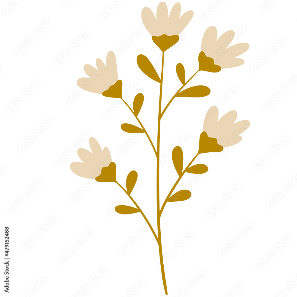 Flower vector, flower illustration, floral vector, botanical vector Flower vector, flower illustration, floral vector, botanical vector