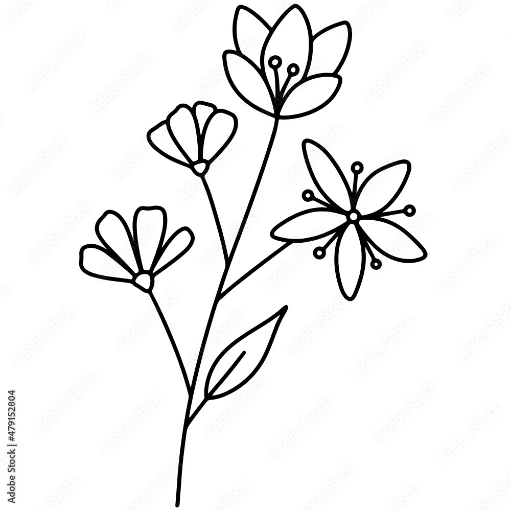 Flower vector, floral vector illustration, flower line art Flower vector, floral vector illustration, flower line art