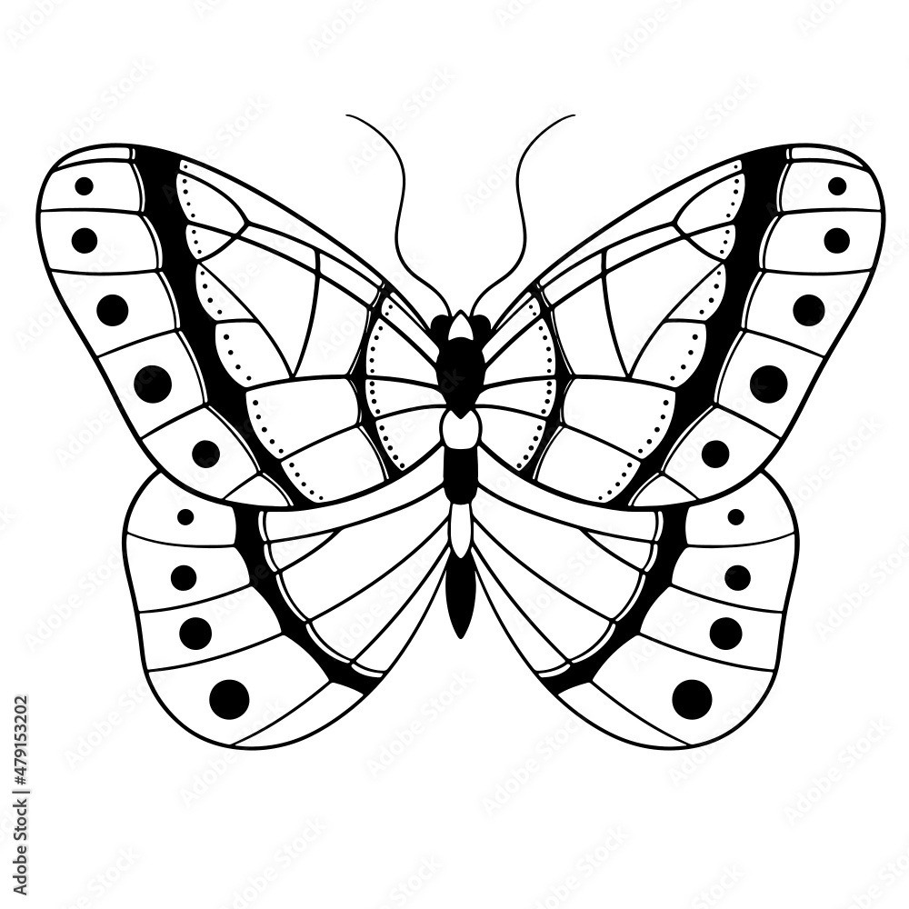 Butterfly vector, butterfly illustration, insects vector, moth vector Butterfly vector, butterfly illustration, insects vector, moth vector
