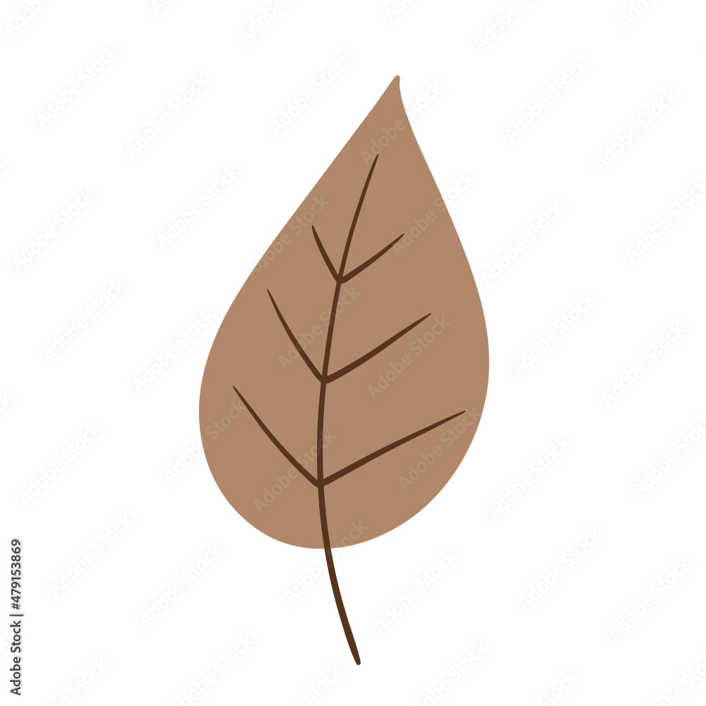 Fall leaf, autumn leaf, leaf illustration, vector Fall leaf, autumn leaf, leaf illustration, vector