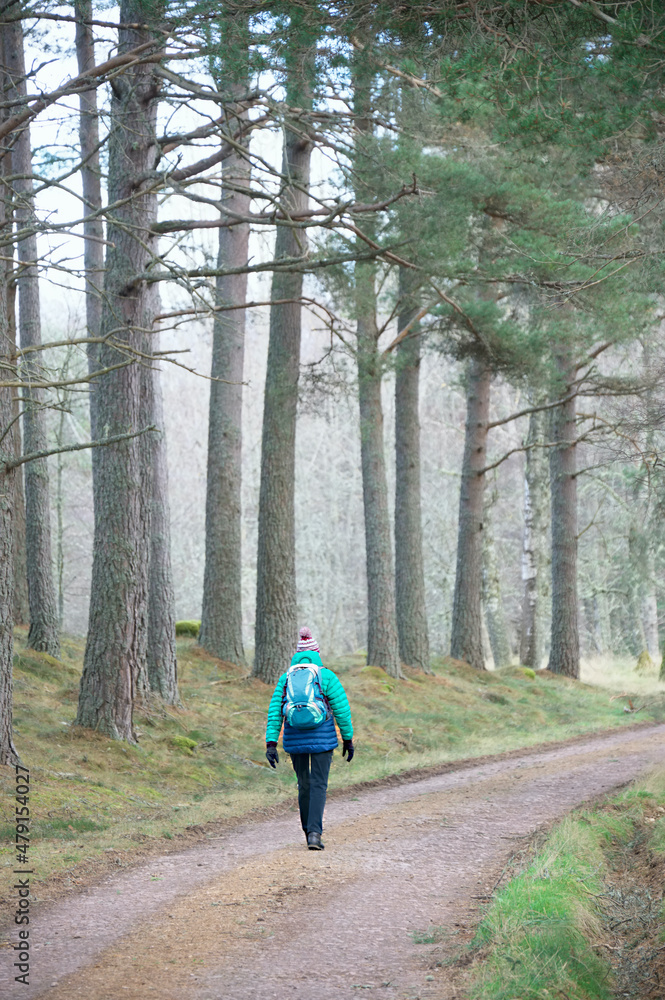 Single elderly woman walking alone in forest during lockdown for good mental and physical health