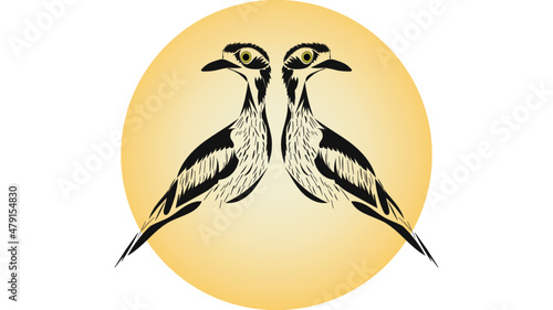 Twin Curlew illustration. Australian native bird. photo