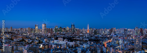 Ultra wide panorama image of Tokyo cityscape at night.