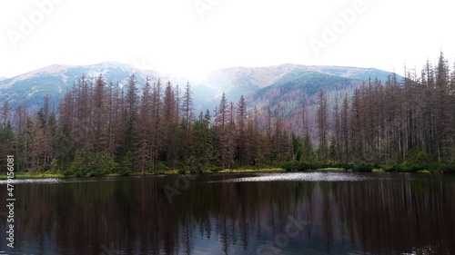 Beautiful lake in the national park. Tatry mountains. Spring Summer. 