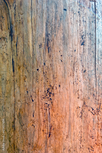 The texture of the tree trunk, the background is made of wood.