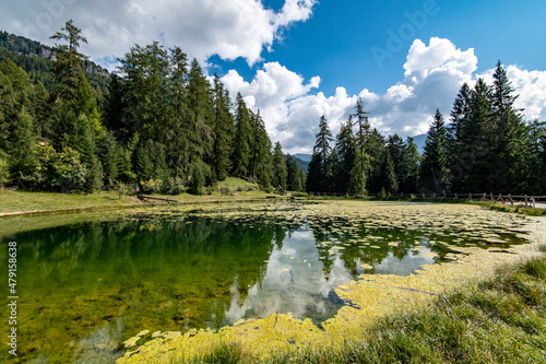 Marinzenhütte, artificial water lily pond pool. Marinzen Alm Alpe di Siusi (Seiser Alm), Suise, Dolomite Alps, Italy.