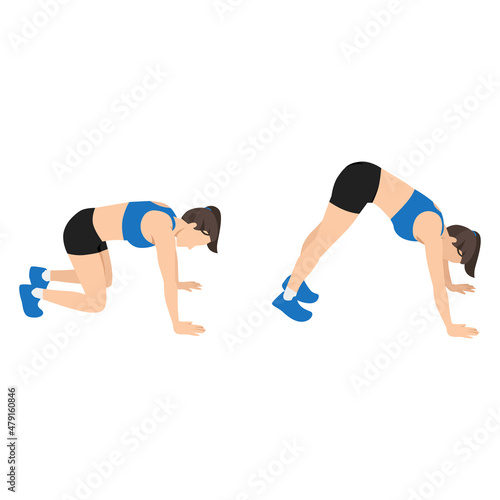 Woman doing Bear squat exercise flat vector illustration isolated on white background