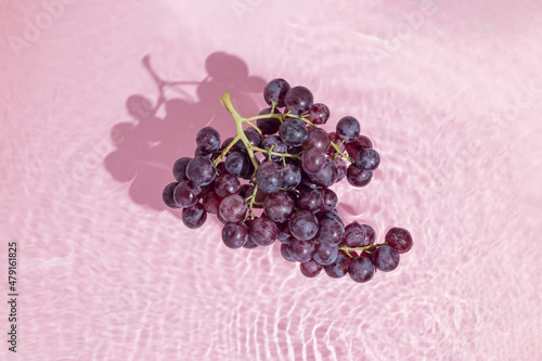 Black muscat grapes stand in the water on pastel pink-purple background. Natural, healthy, resveratrol and vitamins source. Autumn fruit concept. Minimal flat lay. Organic agriculture production idea. photo