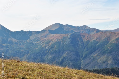 Beautiful mountain landscape. A trail leading through the Tatra National Park.