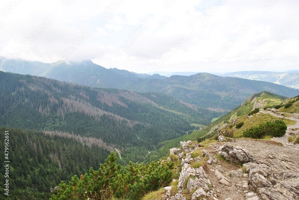 Beautiful mountain landscape. A trail leading through the Tatra National Park.