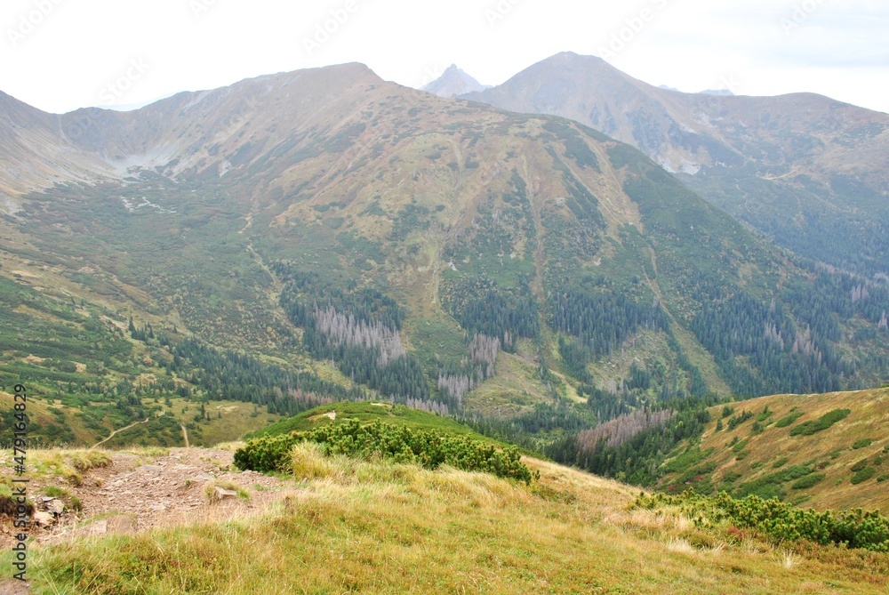 Beautiful mountain landscape. A trail leading through the Tatra National Park.