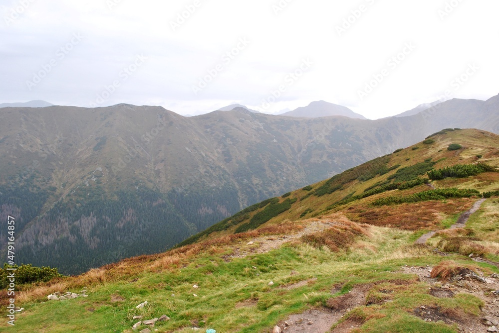 Obraz premium Beautiful mountain landscape. A trail leading through the Tatra National Park.