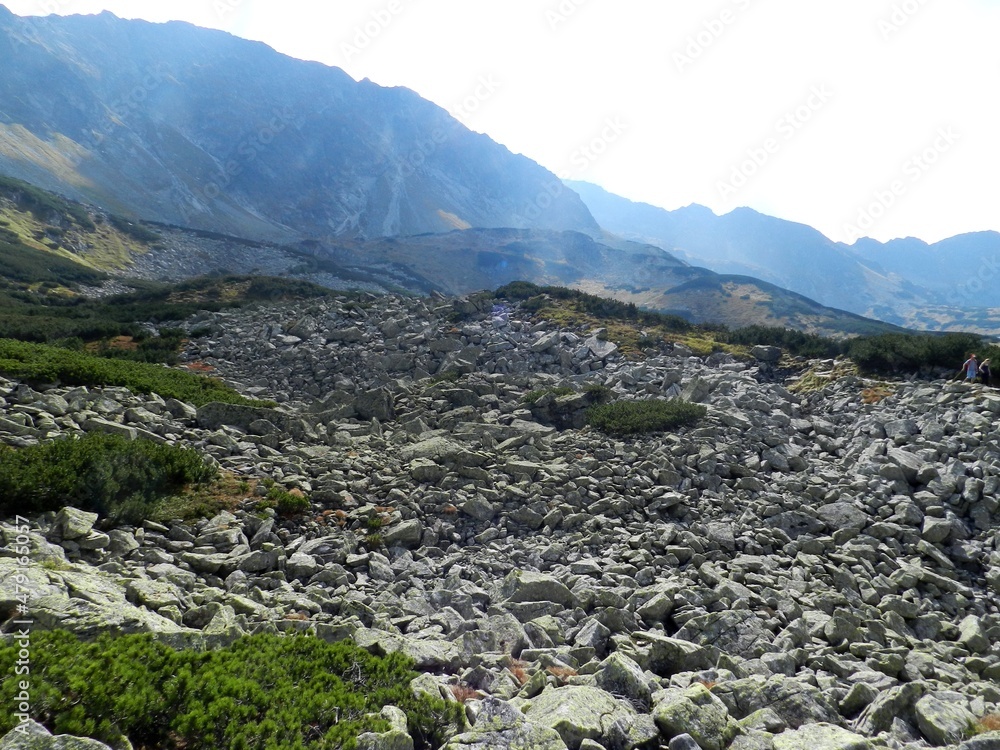 Beautiful mountain landscape. A trail leading through the Tatra National Park. Beautiful mountain landscape. A trail leading through the Tatra National Park.