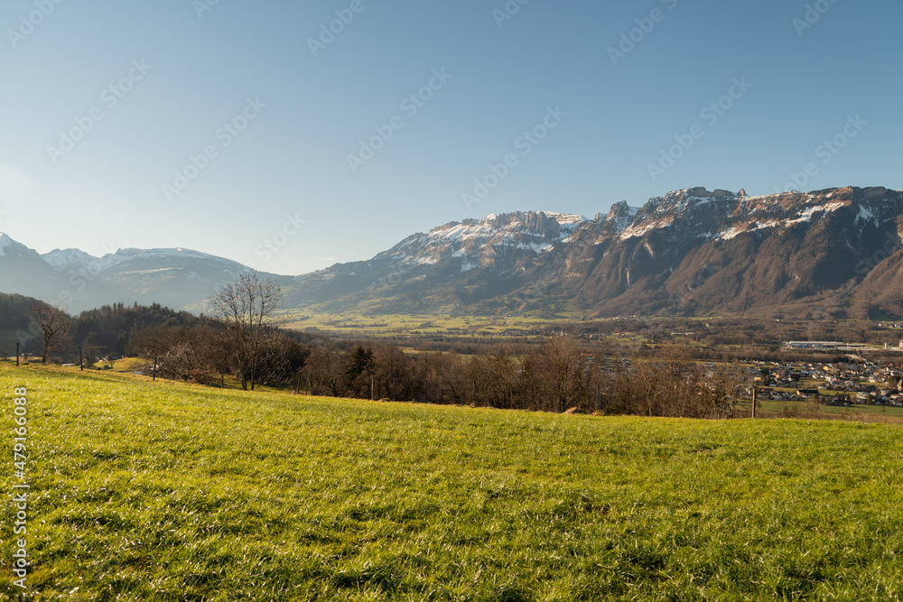 Fototapeta premium View over the rhine valley from Schellenberg in Liechtenstein
