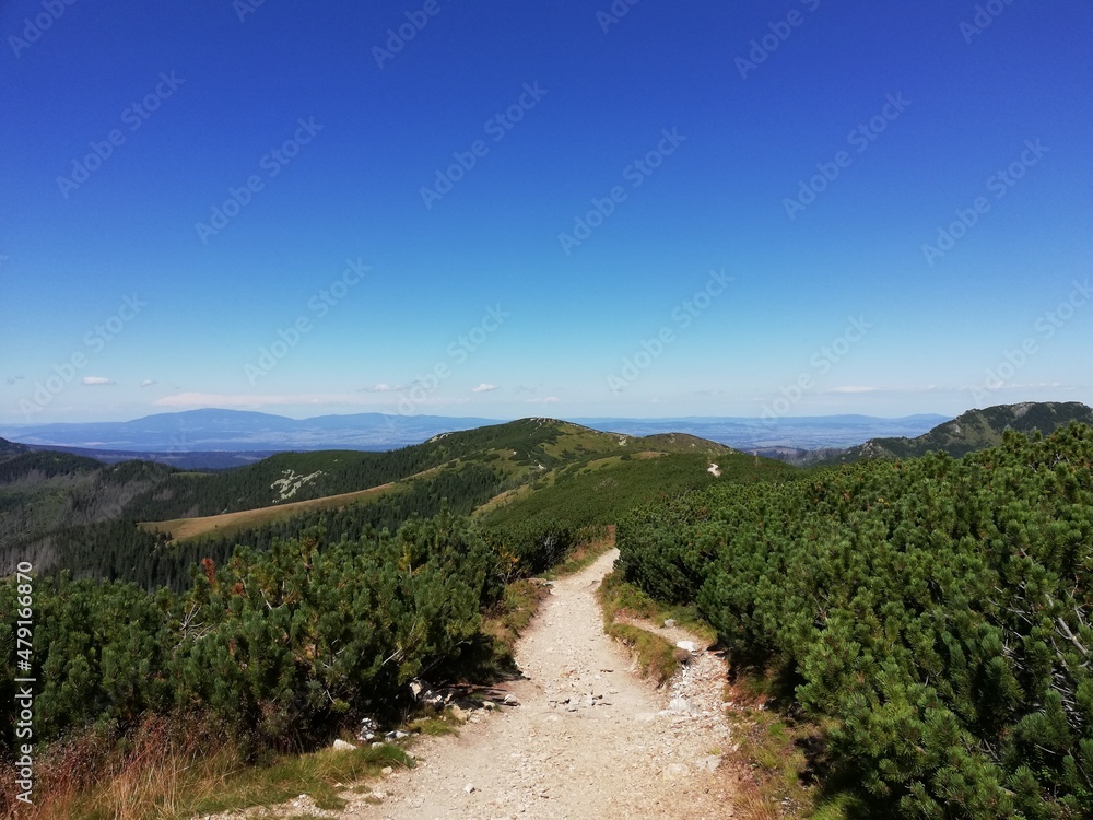Beautiful mountain landscape. A trail leading through the Tatra National Park. Beautiful mountain landscape. A trail leading through the Tatra National Park.