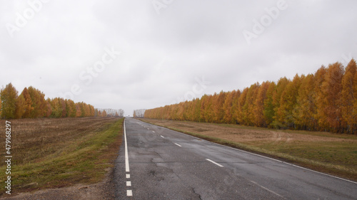 road in autumn © Sergei
