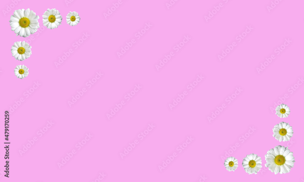pink background with flowers on top and bottom corner