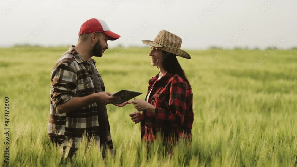 Partnership teamwork. Two farmers work in a field. Team farmers stand in a wheat field with tablet and controlling their crops. Green wheat germ at field. Farmers agricultural business concept. Partnership teamwork. Two farmers work in a field. Team farmers stand in a wheat field with tablet and controlling their crops. Green wheat germ at field. Farmers agricultural business concept.