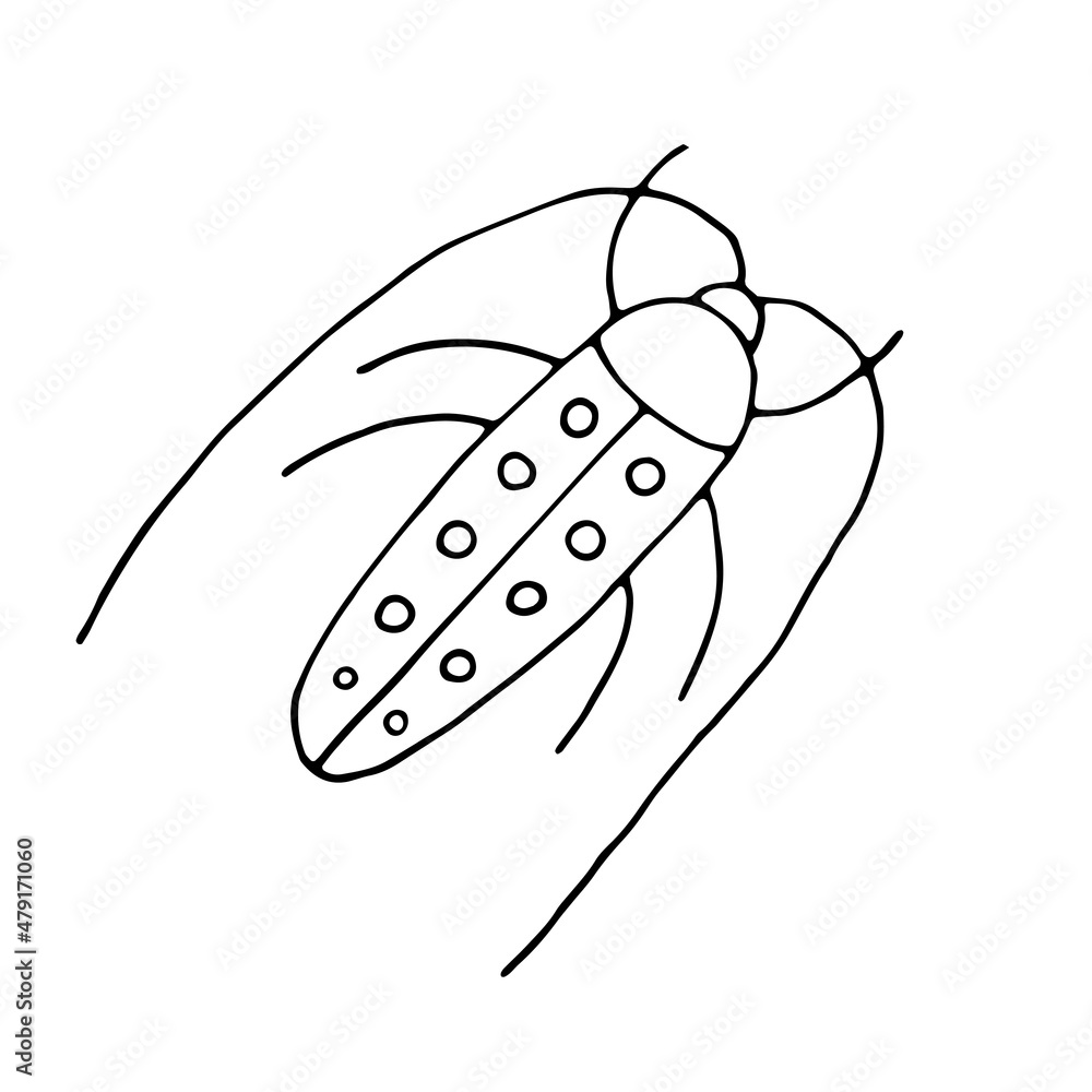Cockroach. Beetle. Insect. Doodle. Vector. Drawn by hand. Sketch. Silhouette. Black and white. Contour. Coloring. Cockroach. Beetle. Insect. Doodle. Vector. Drawn by hand. Sketch. Silhouette. Black and white. Contour. Coloring.