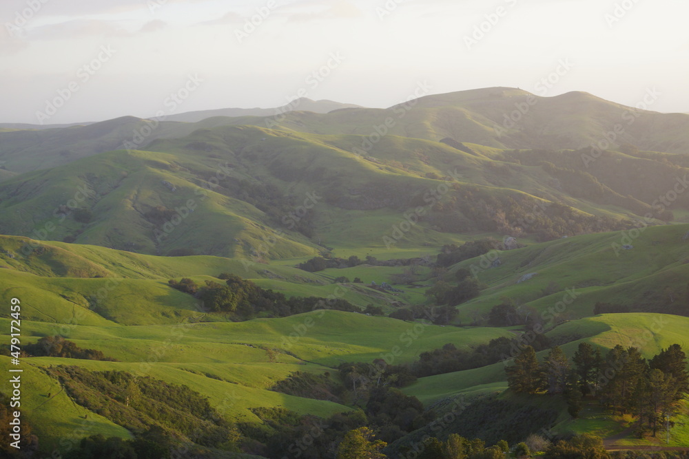 Obraz premium Green Mountains