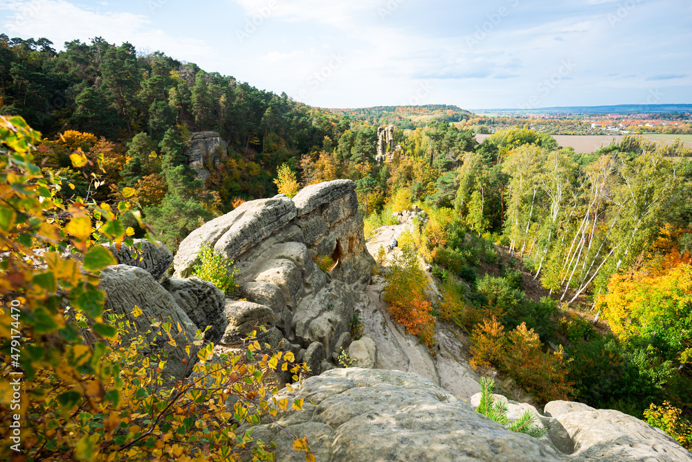 Fototapeta premium Klusfelsen Sandstein Formation Gebilde Säule im Harz Gebirge Deutschland