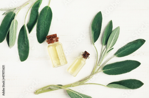 Top view green plant leaves Salvia essential oil bottles, clary sage herbal extract, healthy skincare and aromatherapy treatment