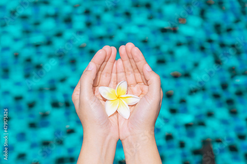 woman hands hold plumeria flower over blurred blue water pool background.